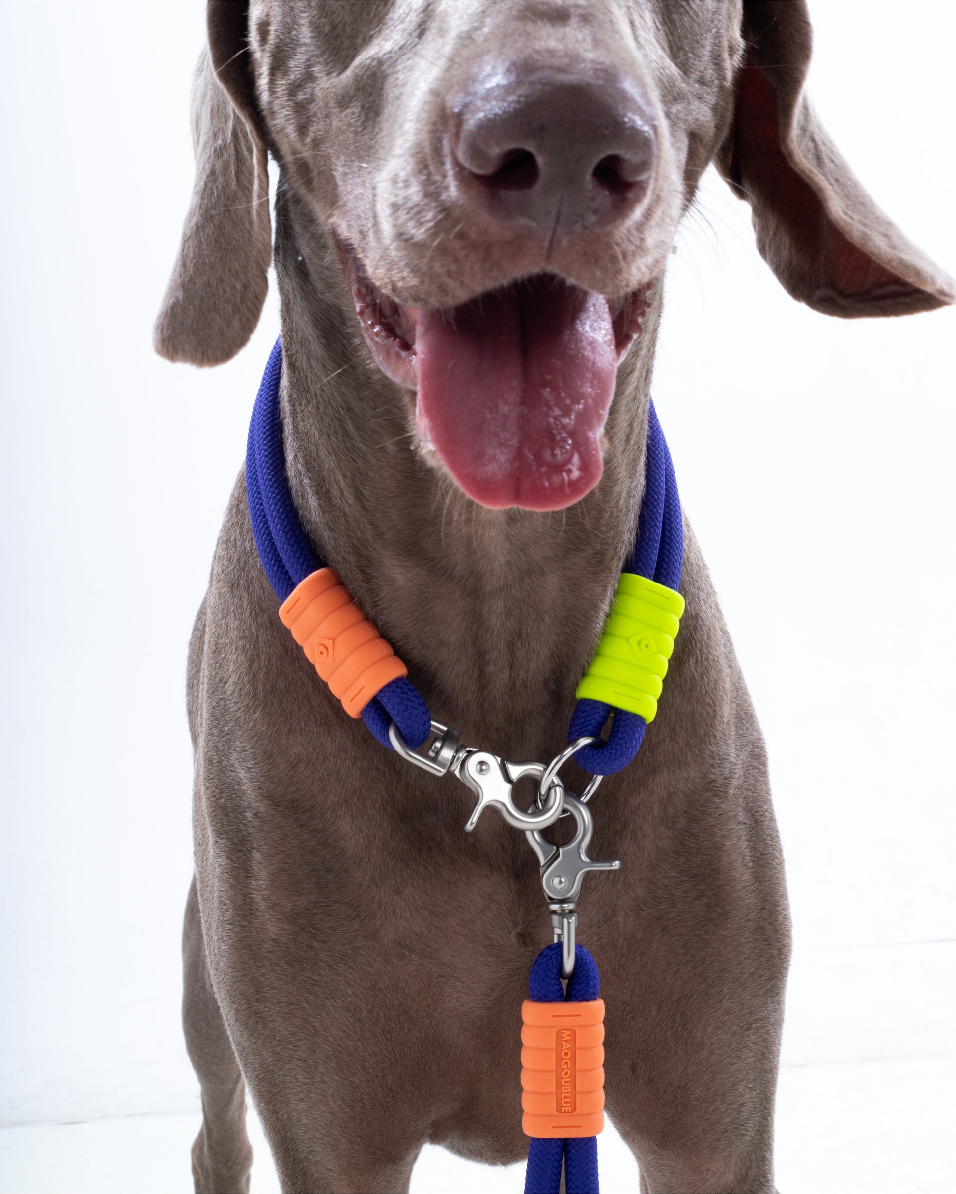 The Hula-Hoop standard-collar