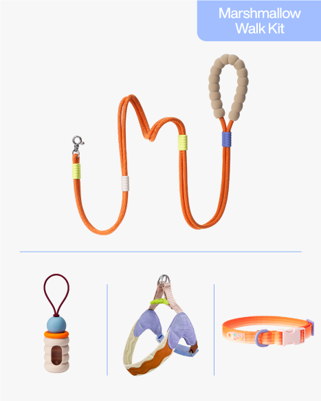 Sunset 4-Piece Walk Set