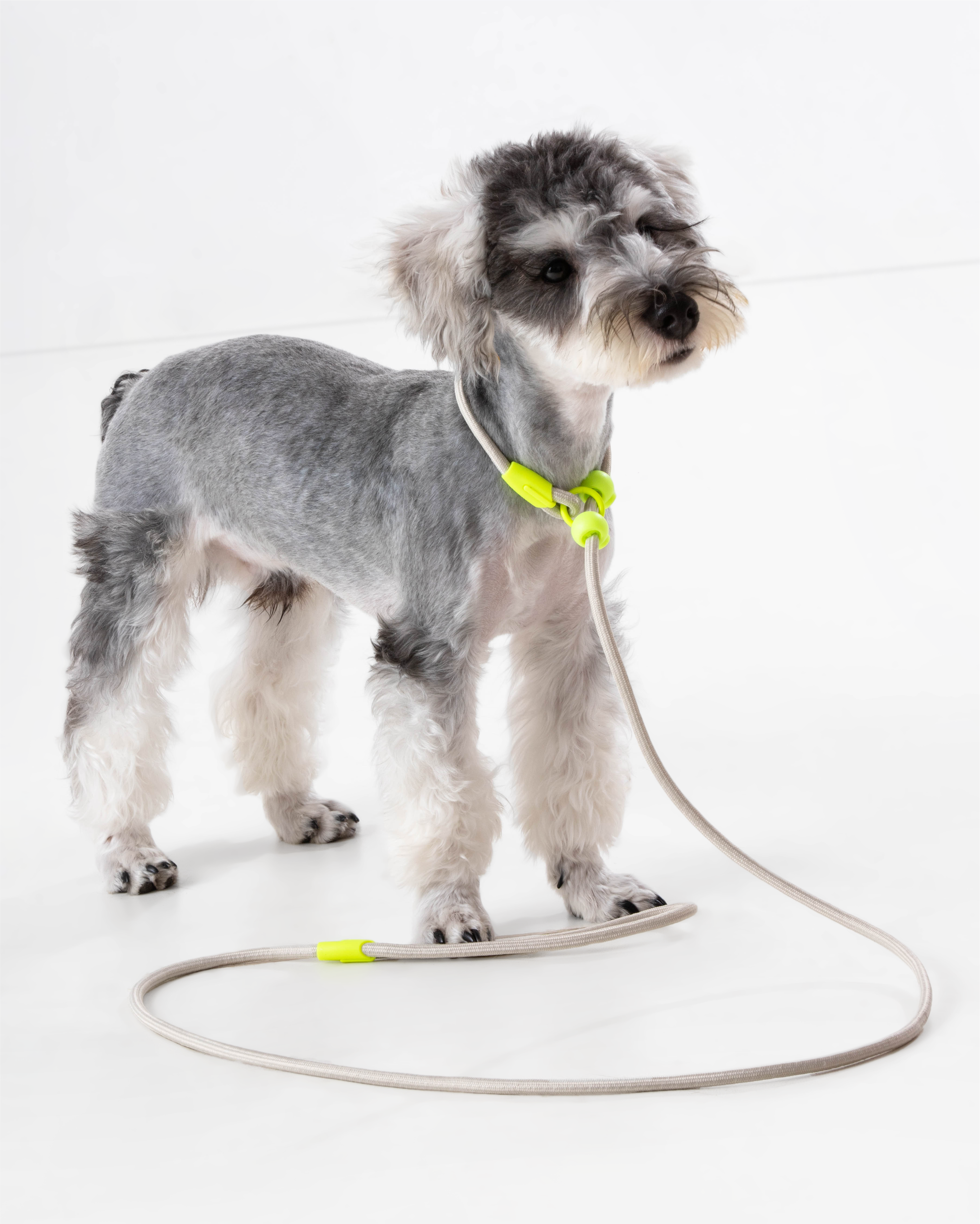 Iris Ribbon - Rope leash