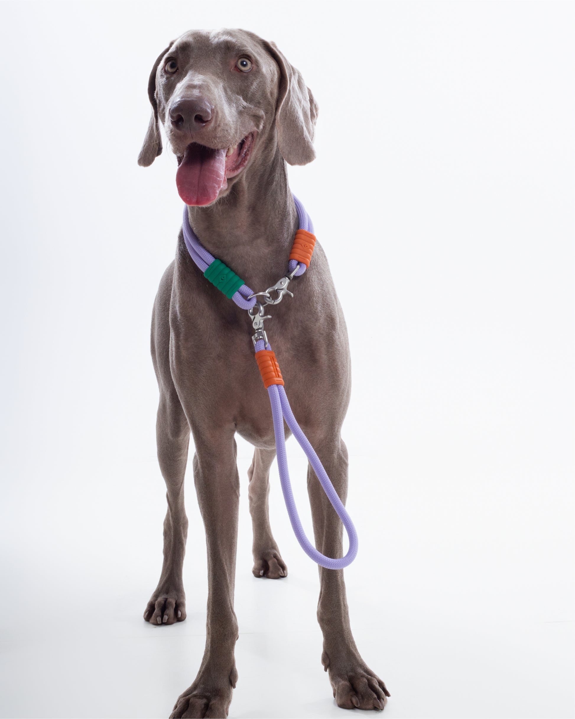 The Hula-Hoop standard-collar