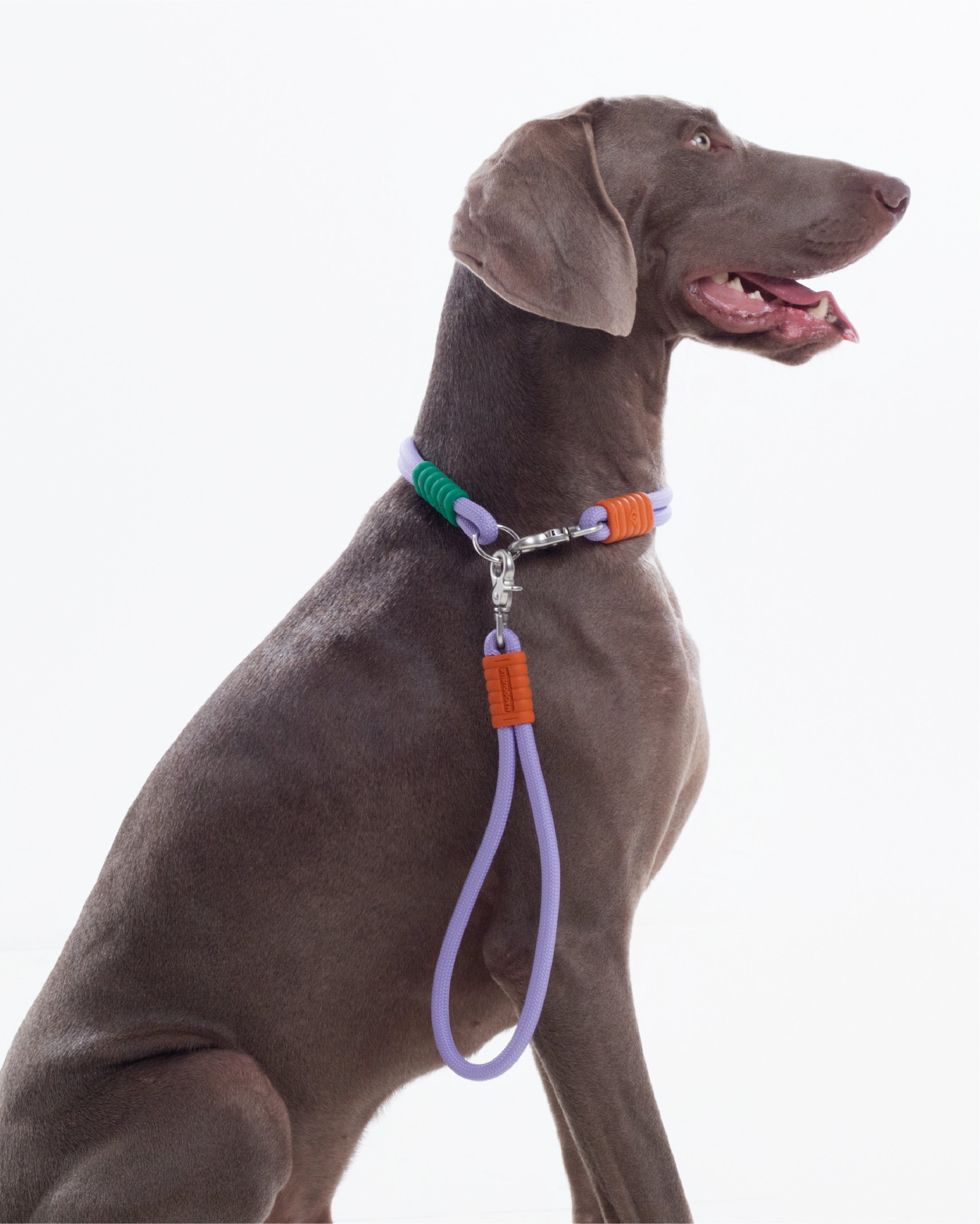 The Hula-Hoop standard-collar