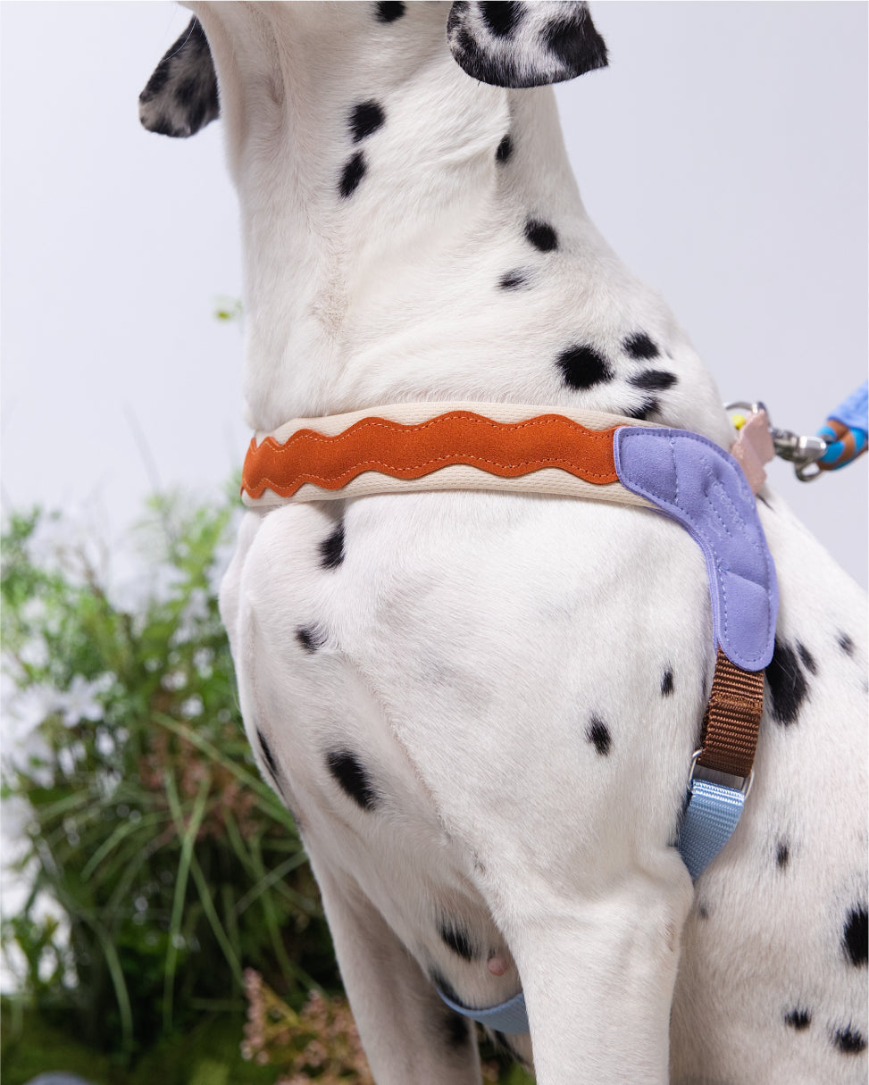 Island V-Shaped Dog Harness