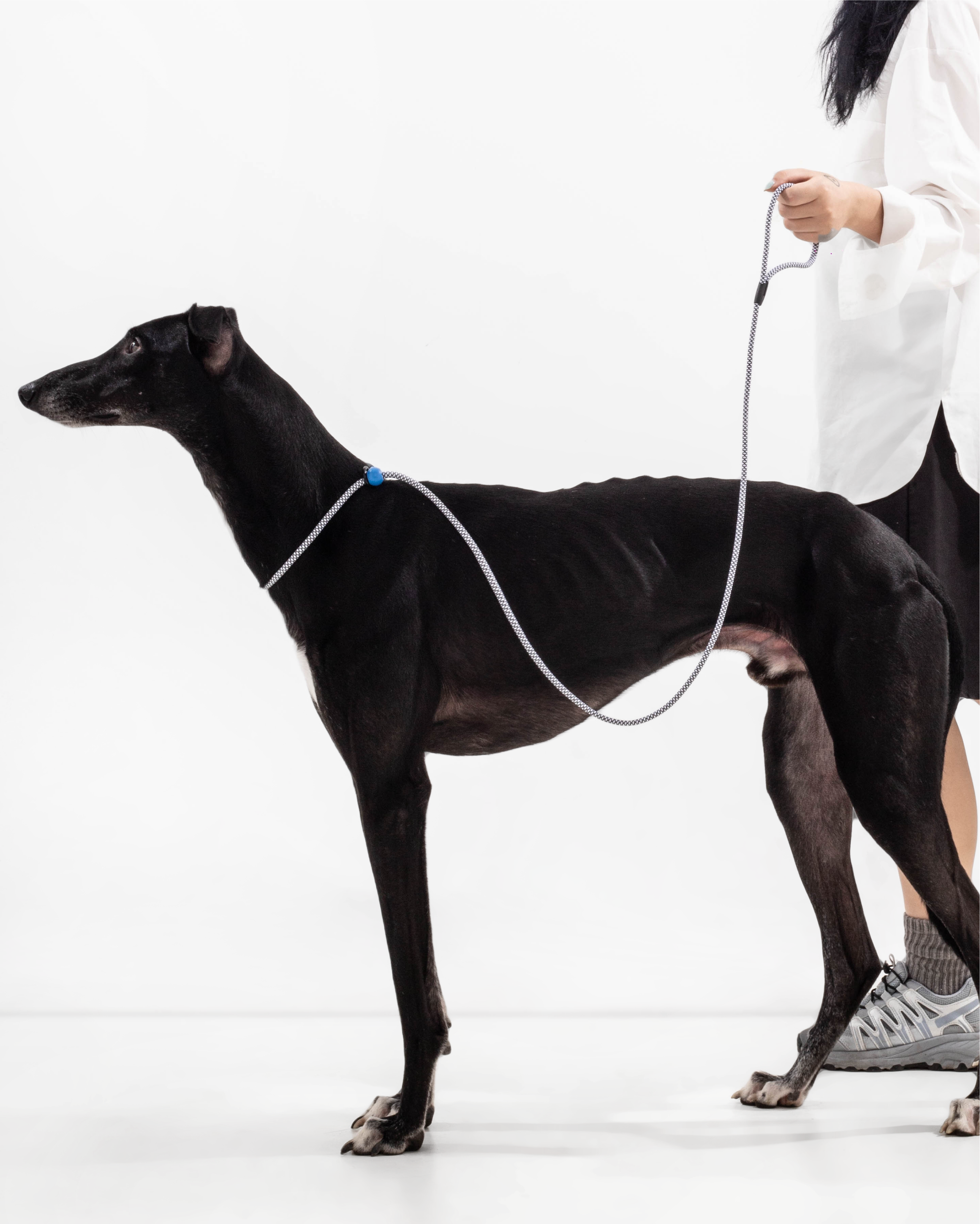 Iris Ribbon - Rope leash