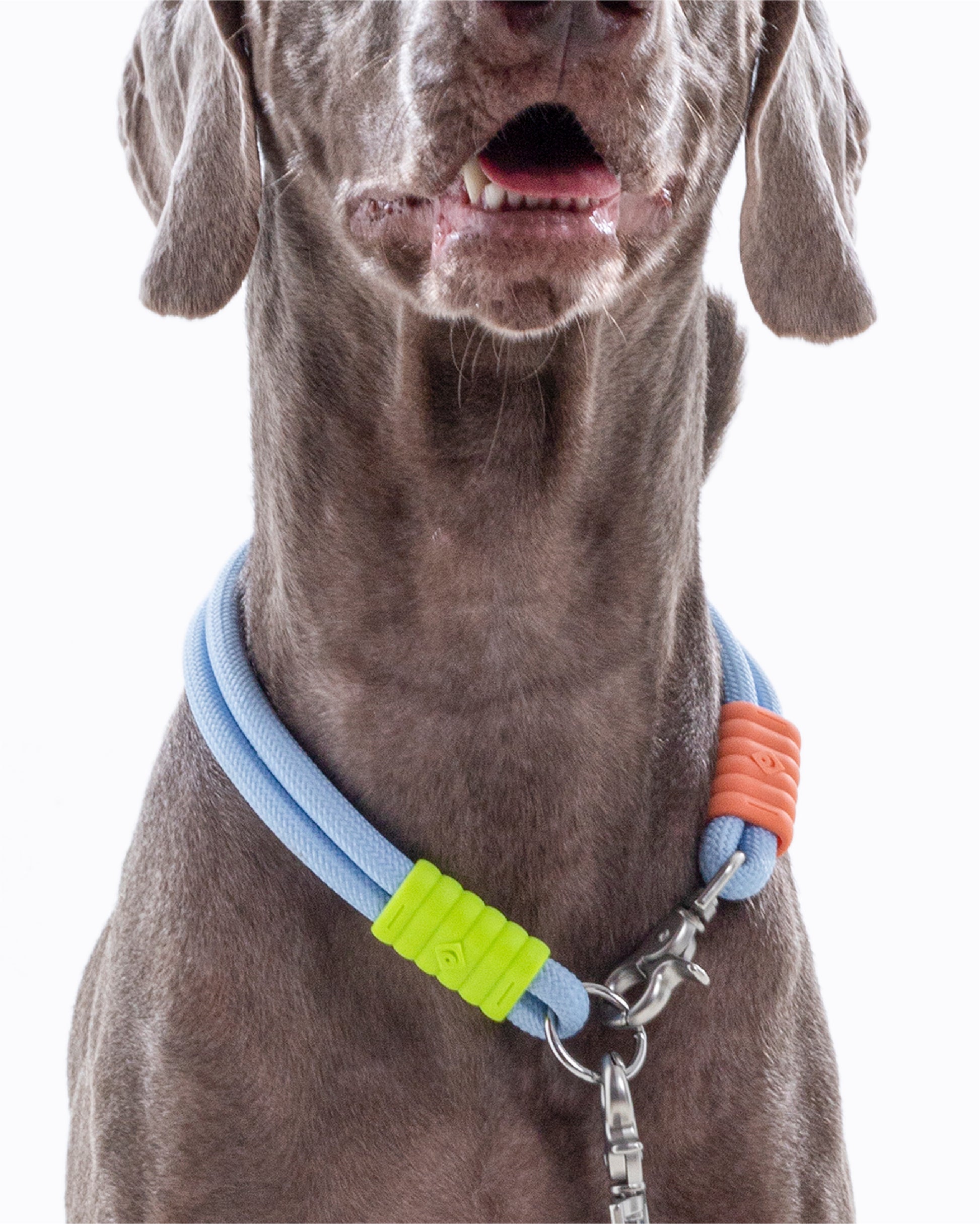 The Hula-Hoop standard-collar