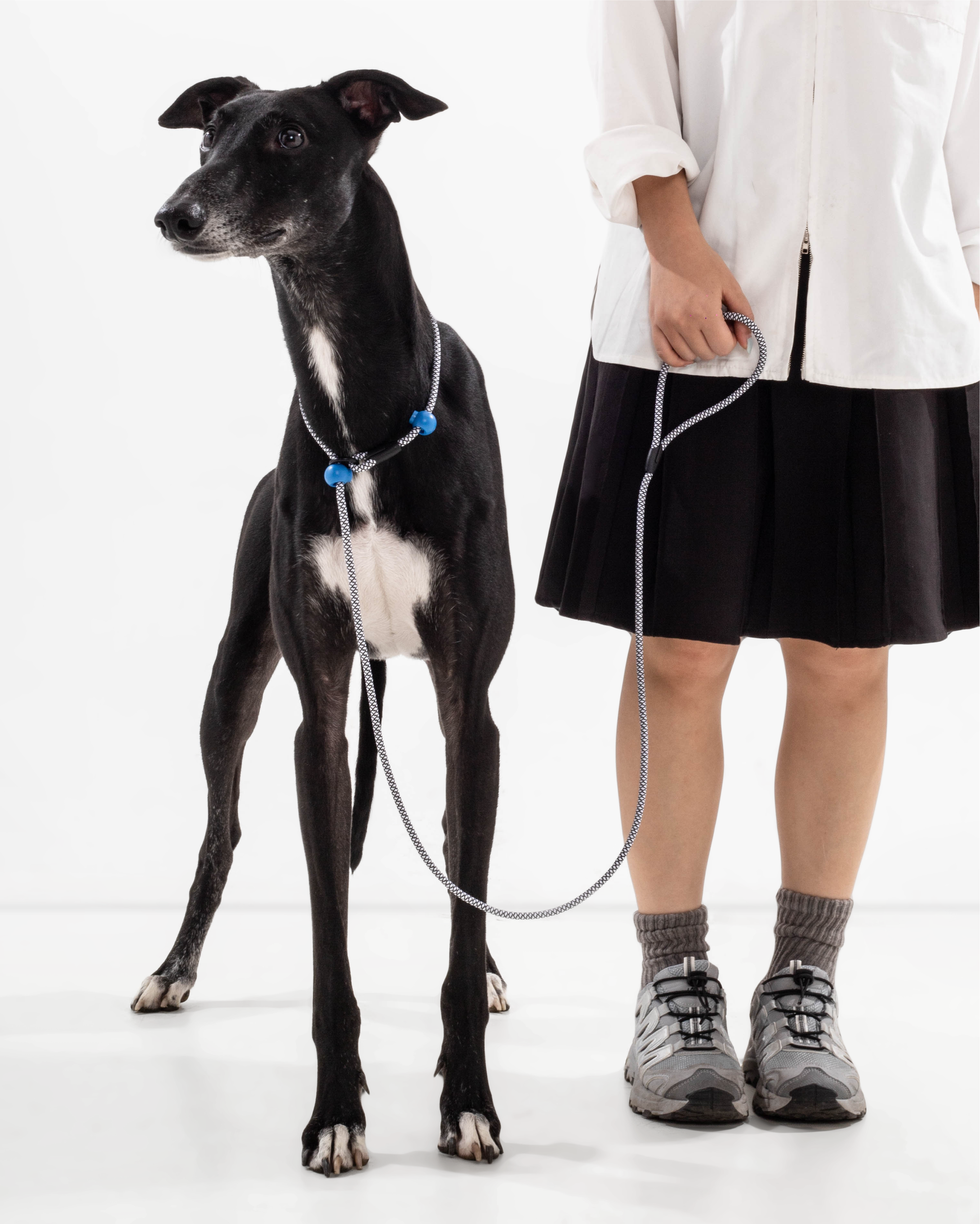 Iris Ribbon - Rope leash