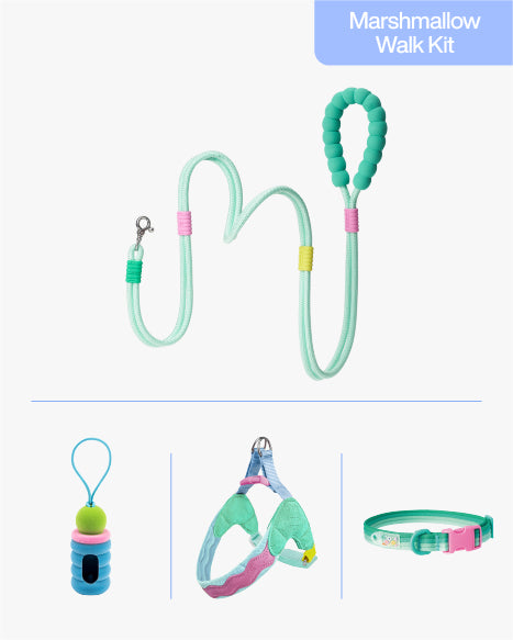 Mint Green 4-Piece Walk Set