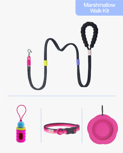 Night Travel 4-Piece Walk Set