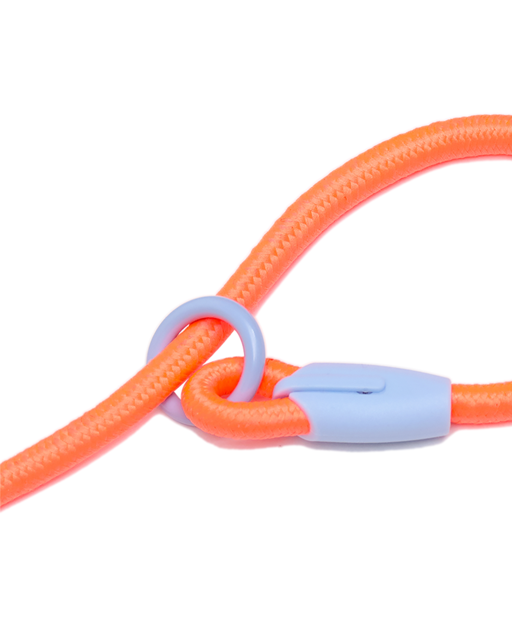 Iris Ribbon - Rope leash