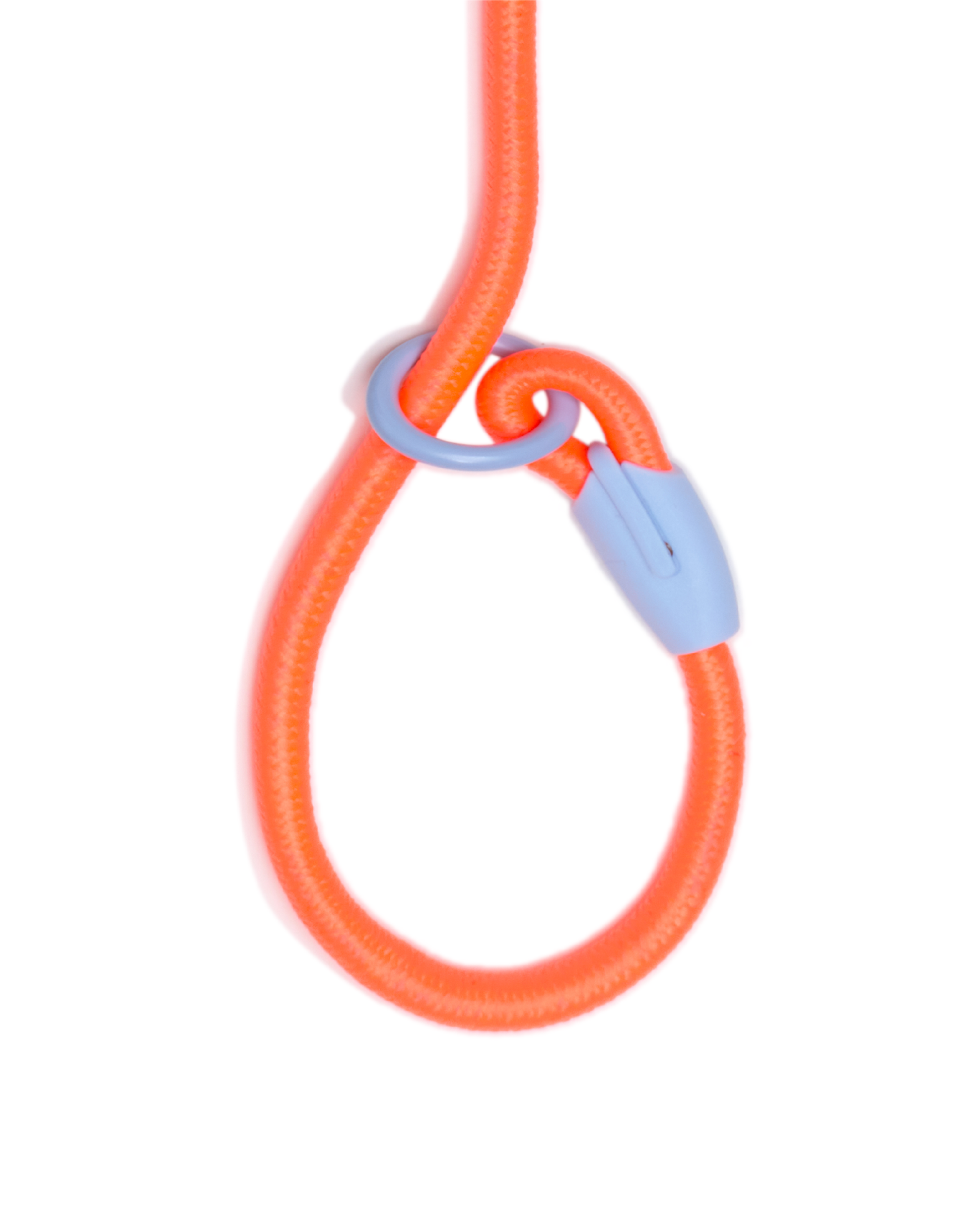 Iris Ribbon - Rope leash