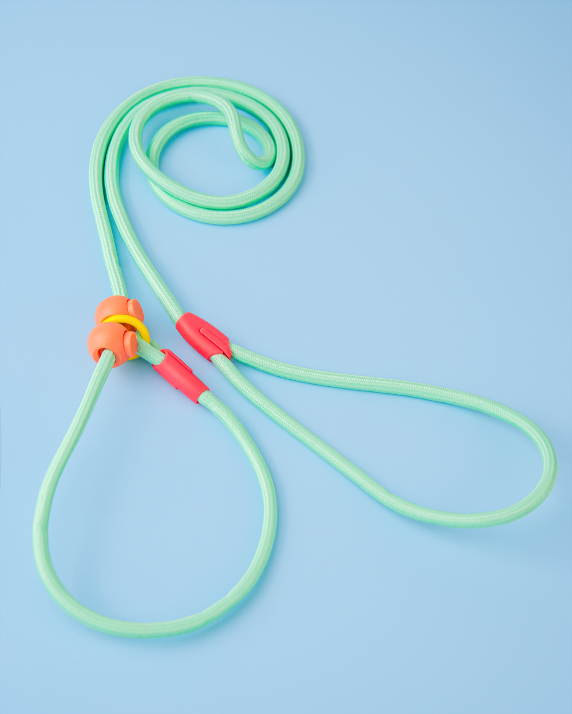 Iris Ribbon - Rope leash