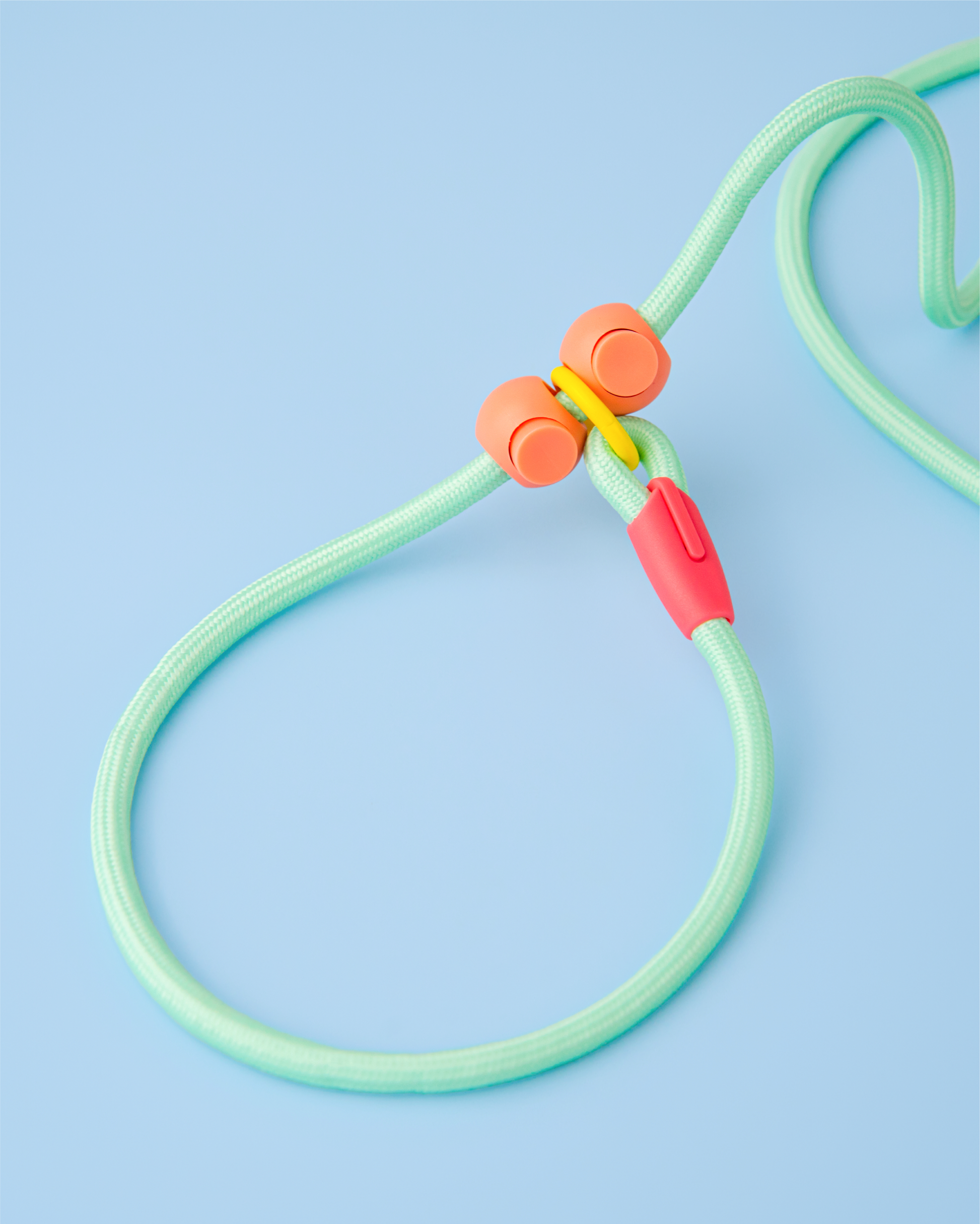 Iris Ribbon - Rope leash