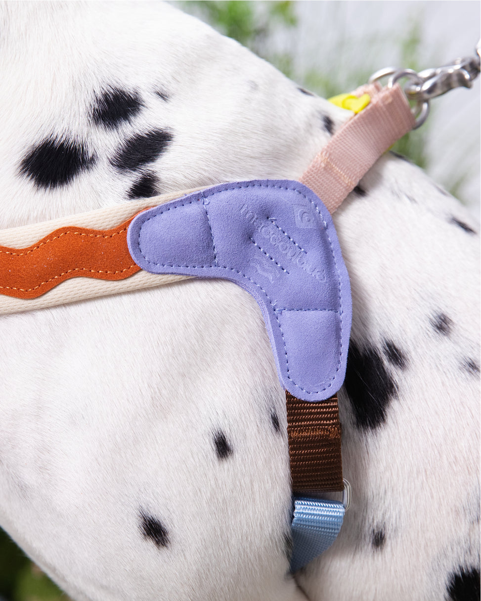 Island V-Shaped Dog Harness