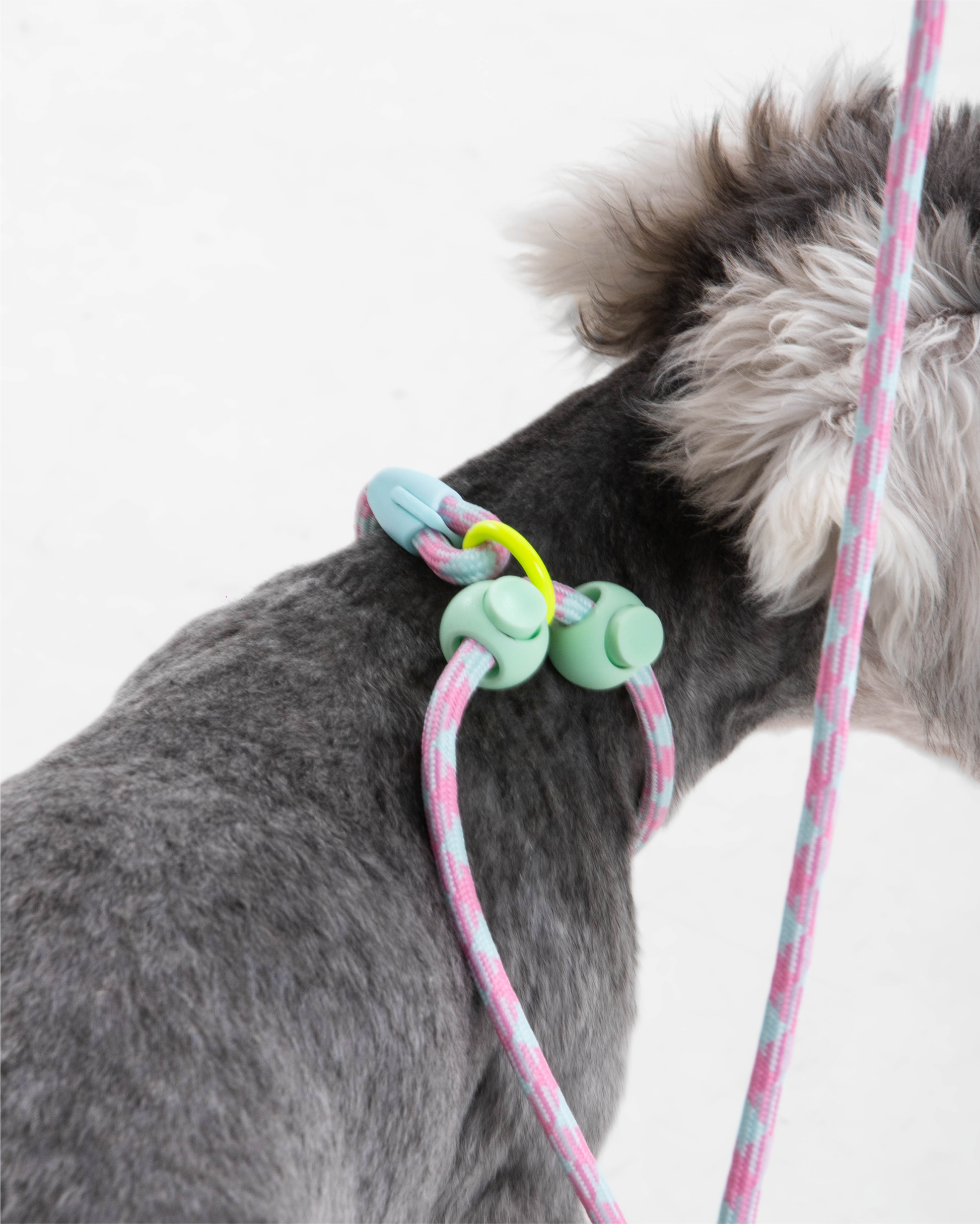 Iris Ribbon - Rope leash