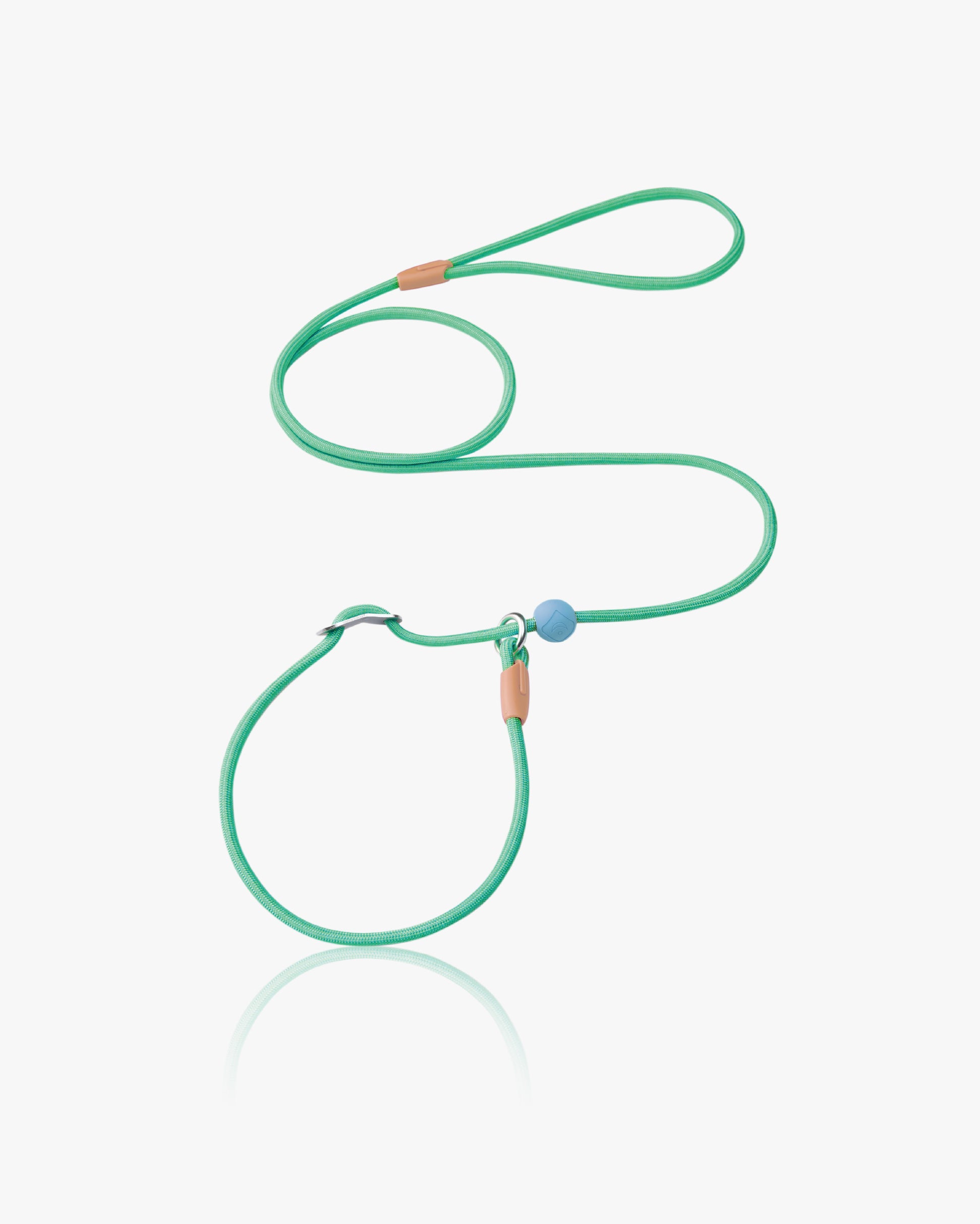 Candy P-Rope Leash