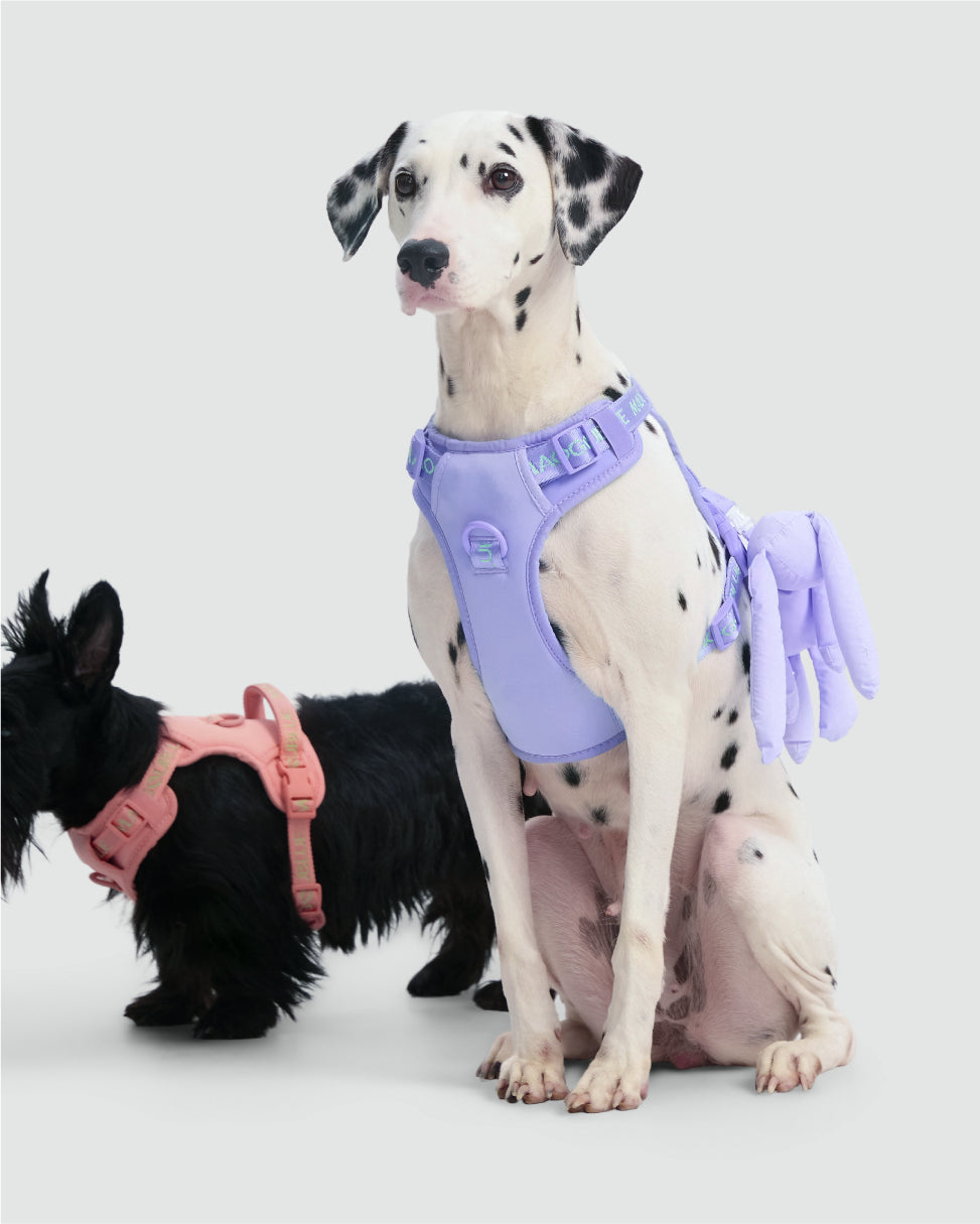 Central Park Harness