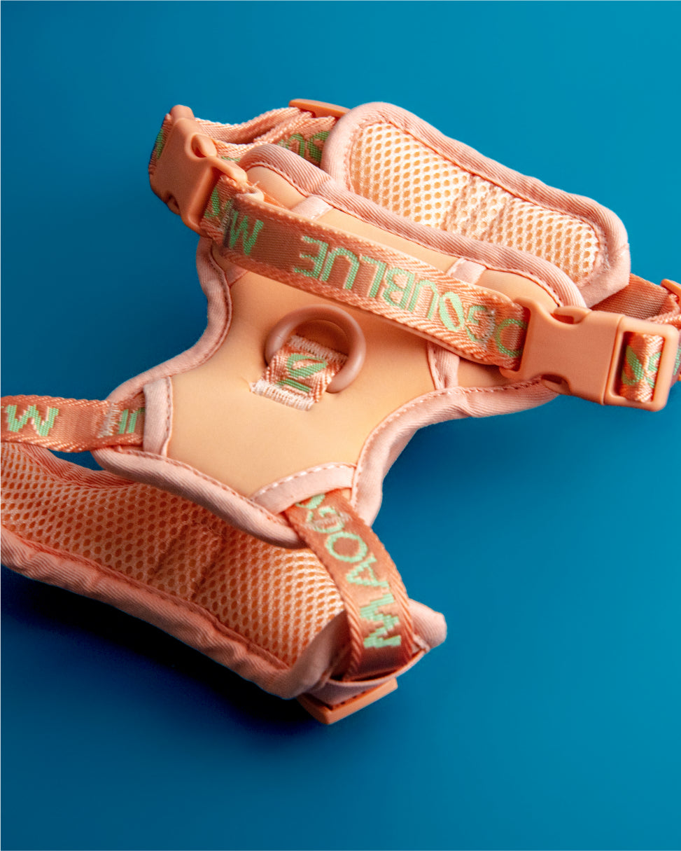 Central Park Harness