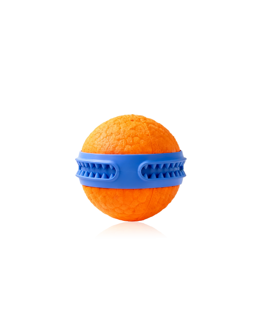 Dog Rubber Ball Dog Toy