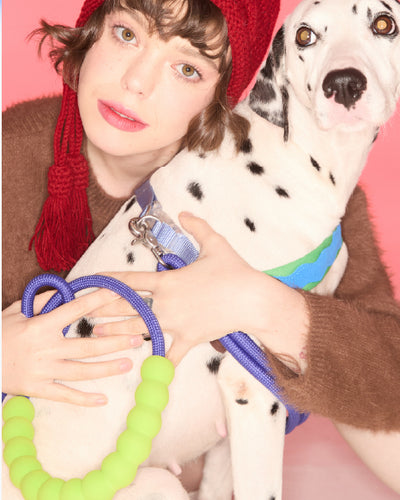 Marshmallow Standard Dog Leash Kit