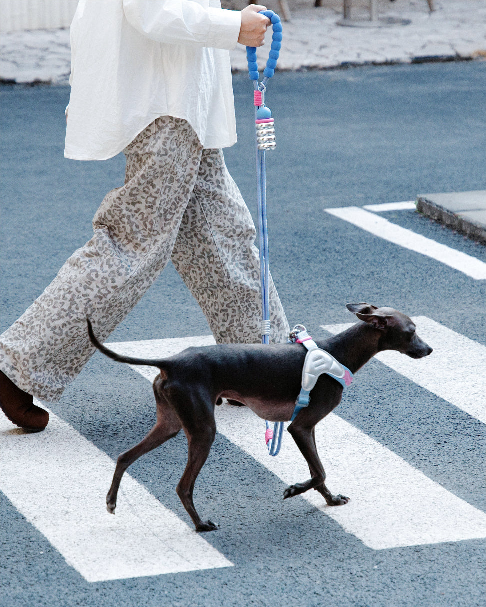 Y2K 4-Piece Walk Set