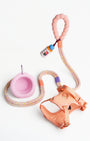 Marshmallow Plus Dog Leash Kit