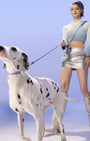 Y2k smart leash