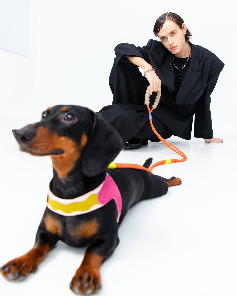 Marshmallow Lightweight Dog Leash