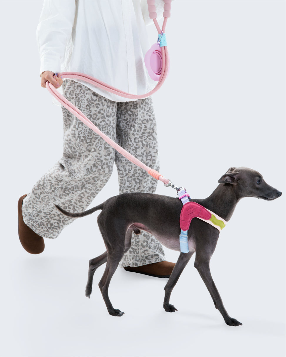 Island V-Shaped Dog Harness
