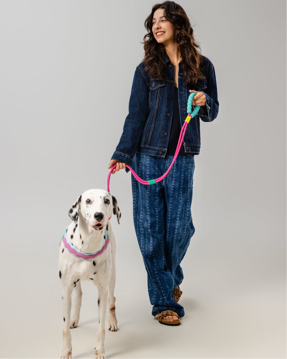 Marshmallow Smart Dog Leash Kit