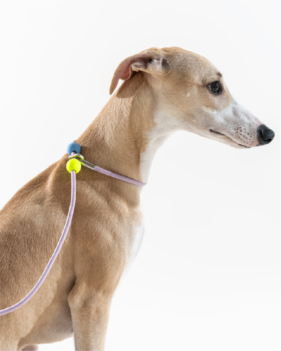 Air Pocket P Rope