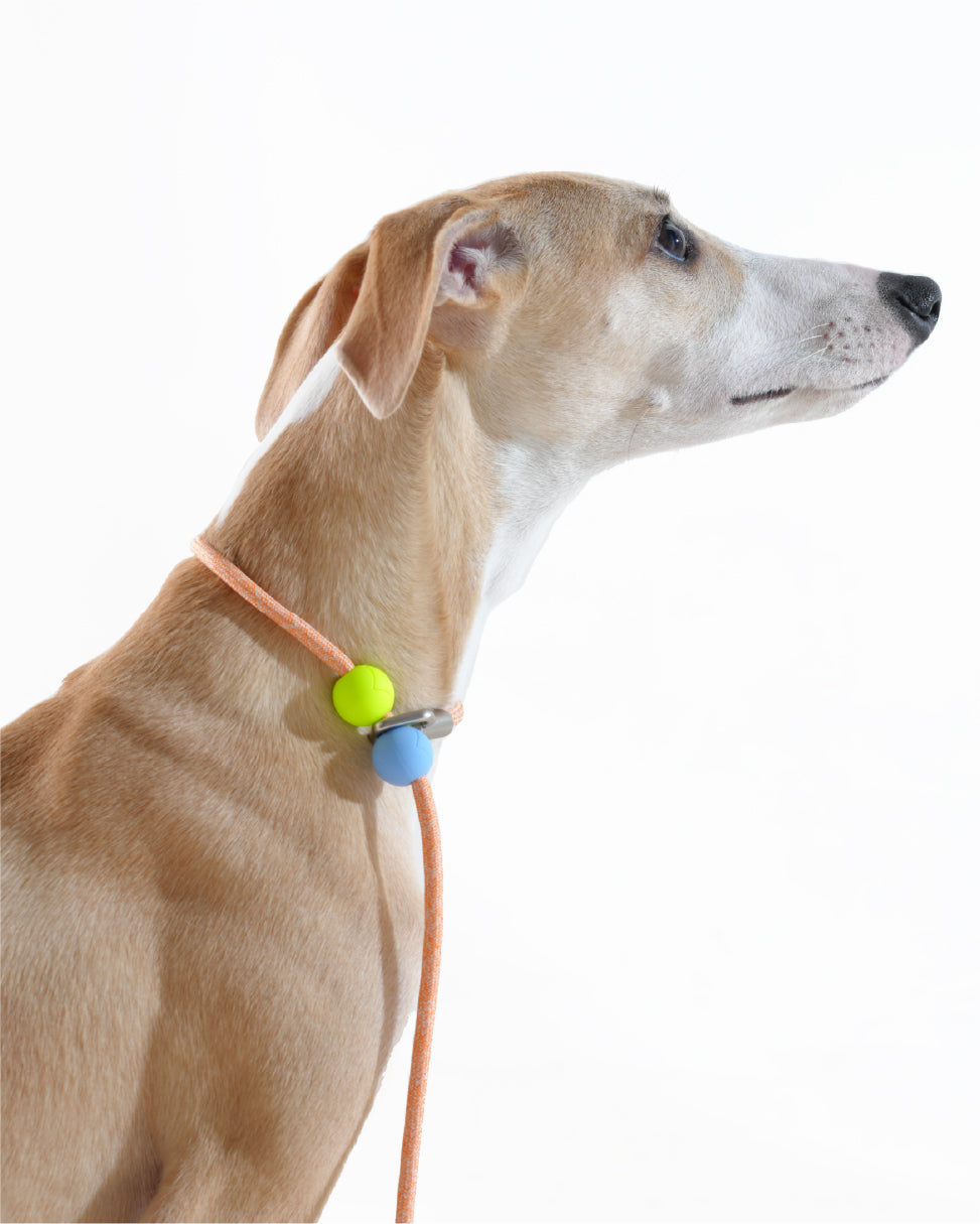 Air Pocket P Rope