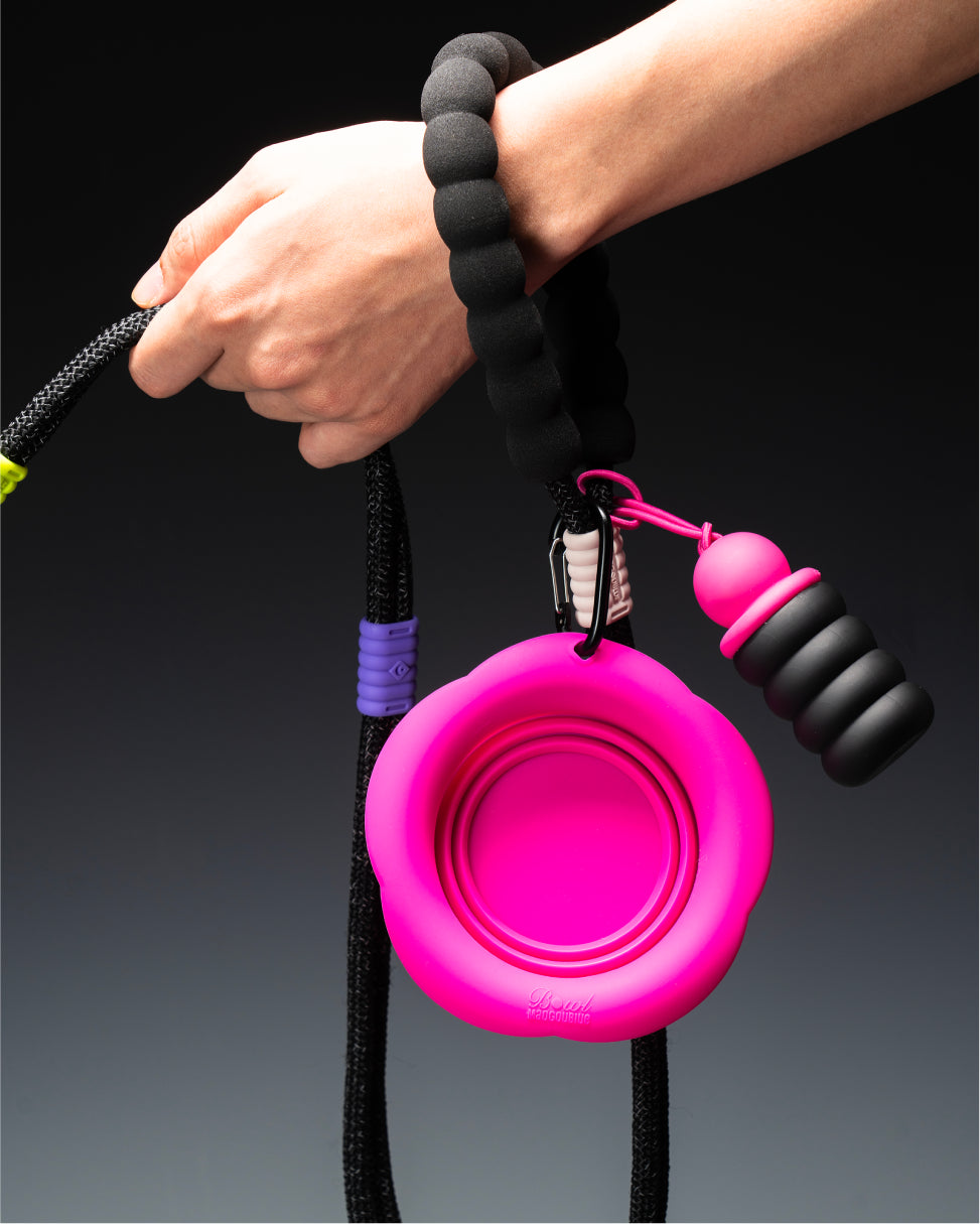 Marshmallow Smart Dog Leash-Night Travel