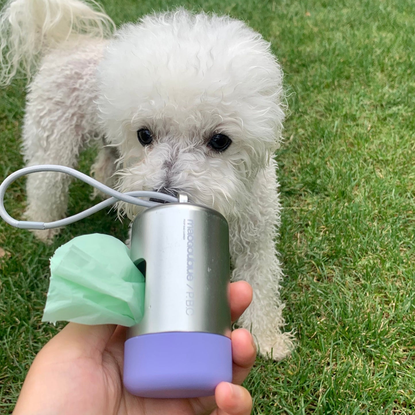 Biodegradable Pet Waste Bag Dispenser