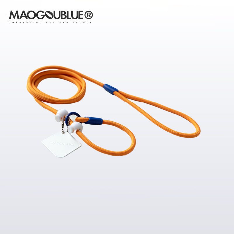 Slip Training Dog Leash