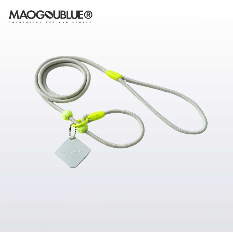 Slip Training Dog Leash