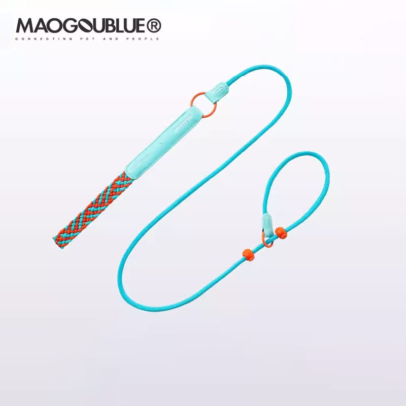 Slip Dog Leash with Braided Handle