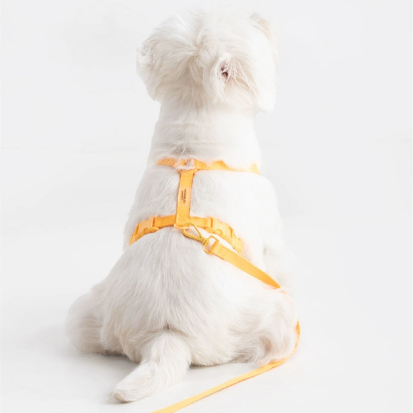 2 in 1 Dog Harness and Leash Set