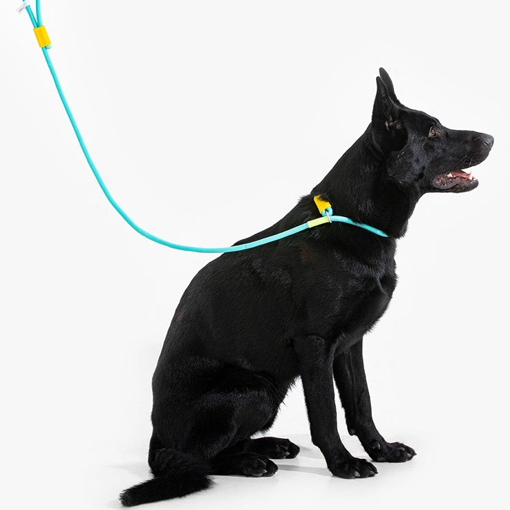 No Pull Lead Dog Leash