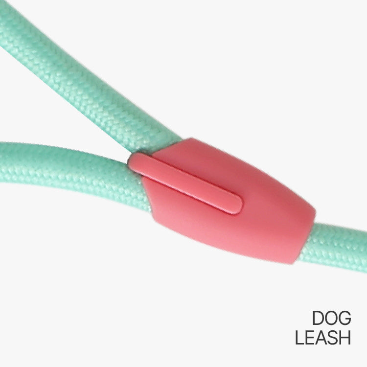 Slip Training Dog Leash