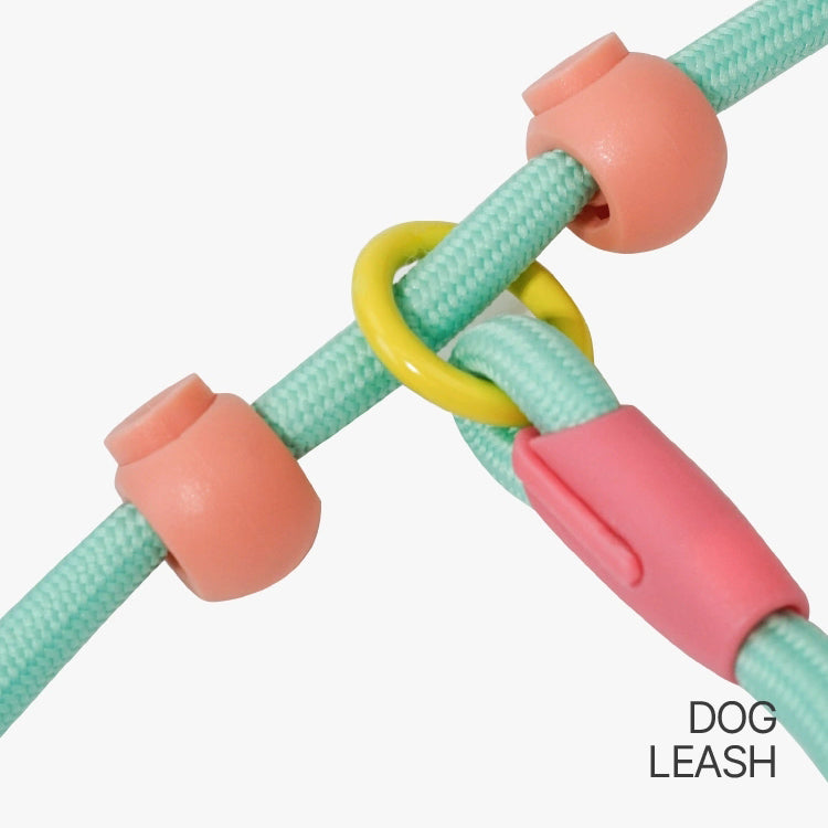 Slip Training Dog Leash