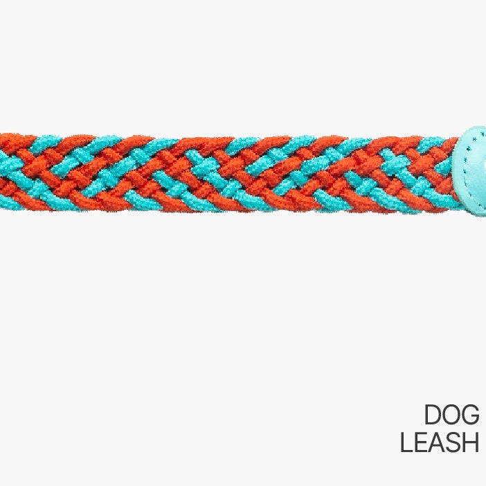 Slip Dog Leash with Braided Handle