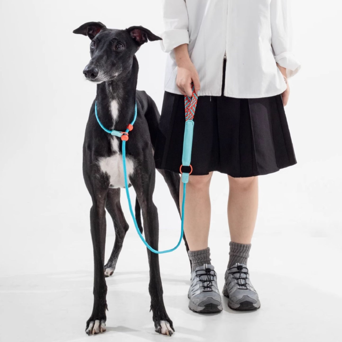 Slip Dog Leash with Braided Handle