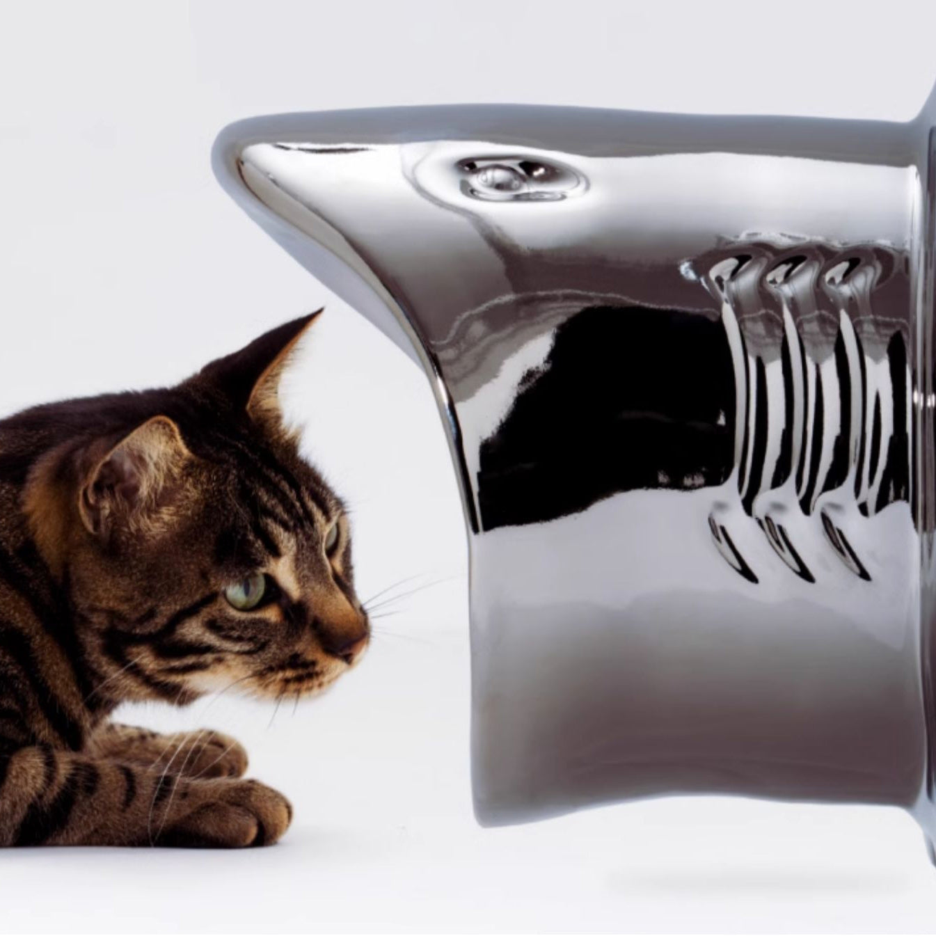 Shark Shape Cat Feeding Bowl