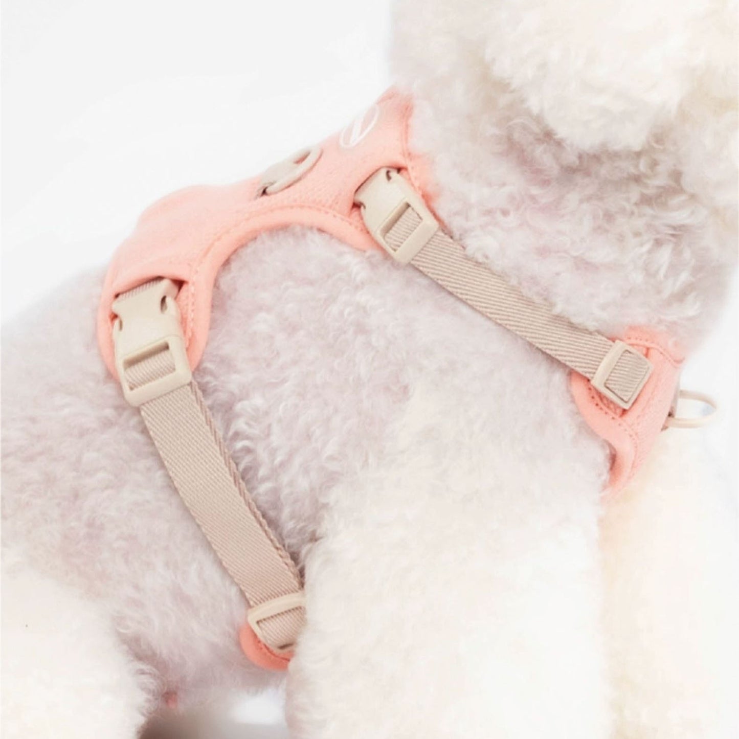 Adjustable Puppy Harness for Small to Medium Breeds