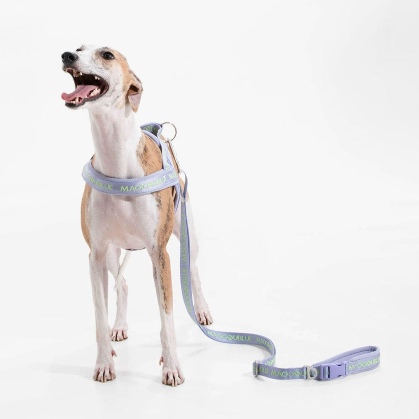 Multi-function Signature Dog Leash