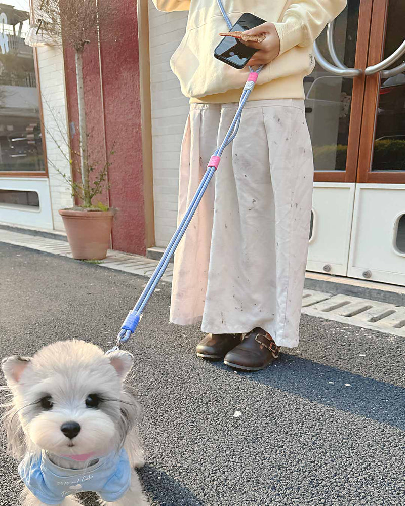 Mallow Smart leash