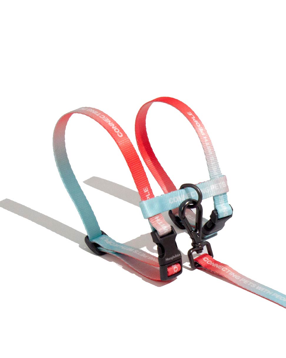 Urban Feline-Cat Leash