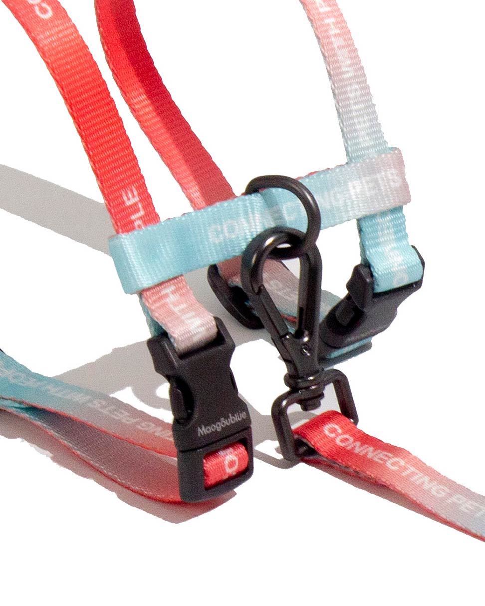Urban Feline-Cat Leash