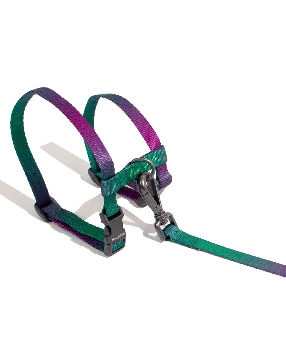 Urban Feline-Cat Leash