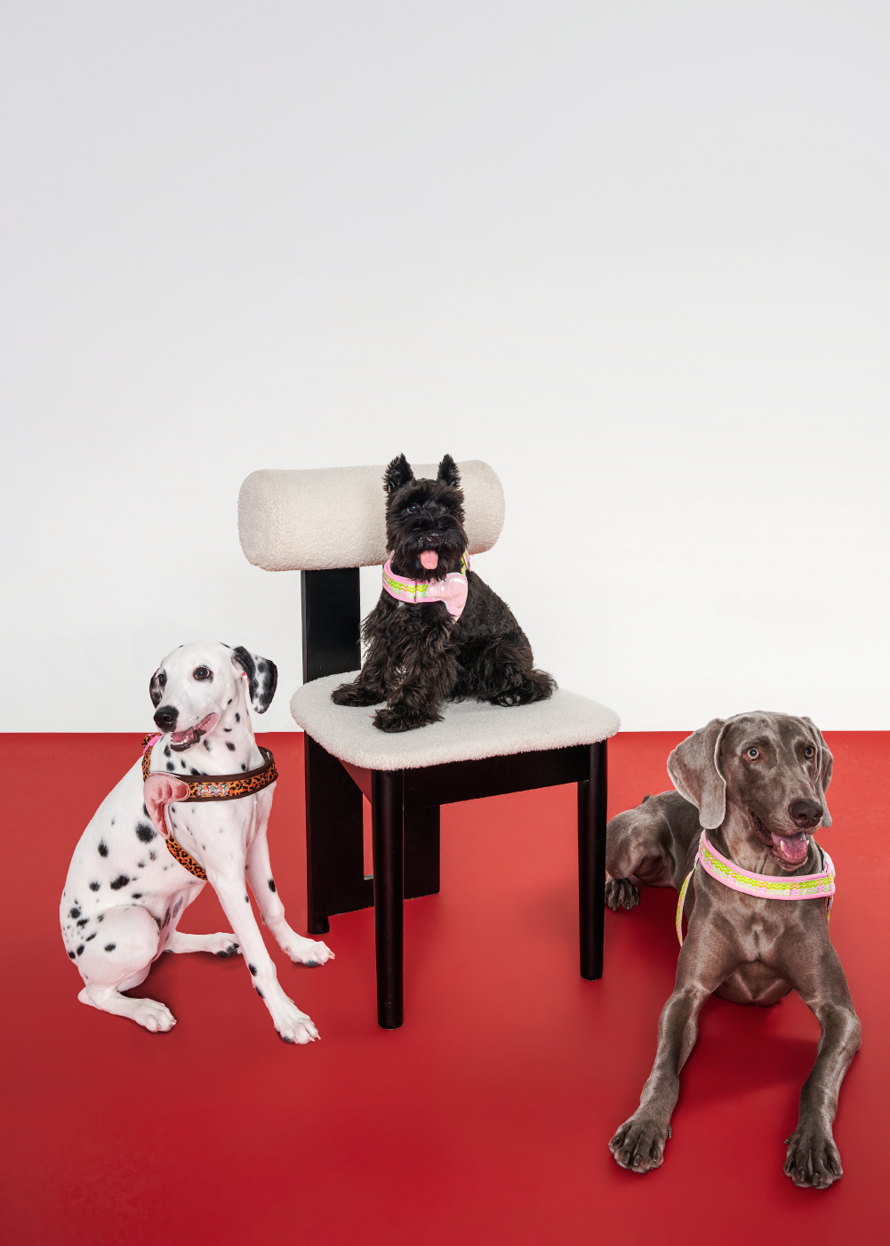 Island Series Adjustable Chest Harness