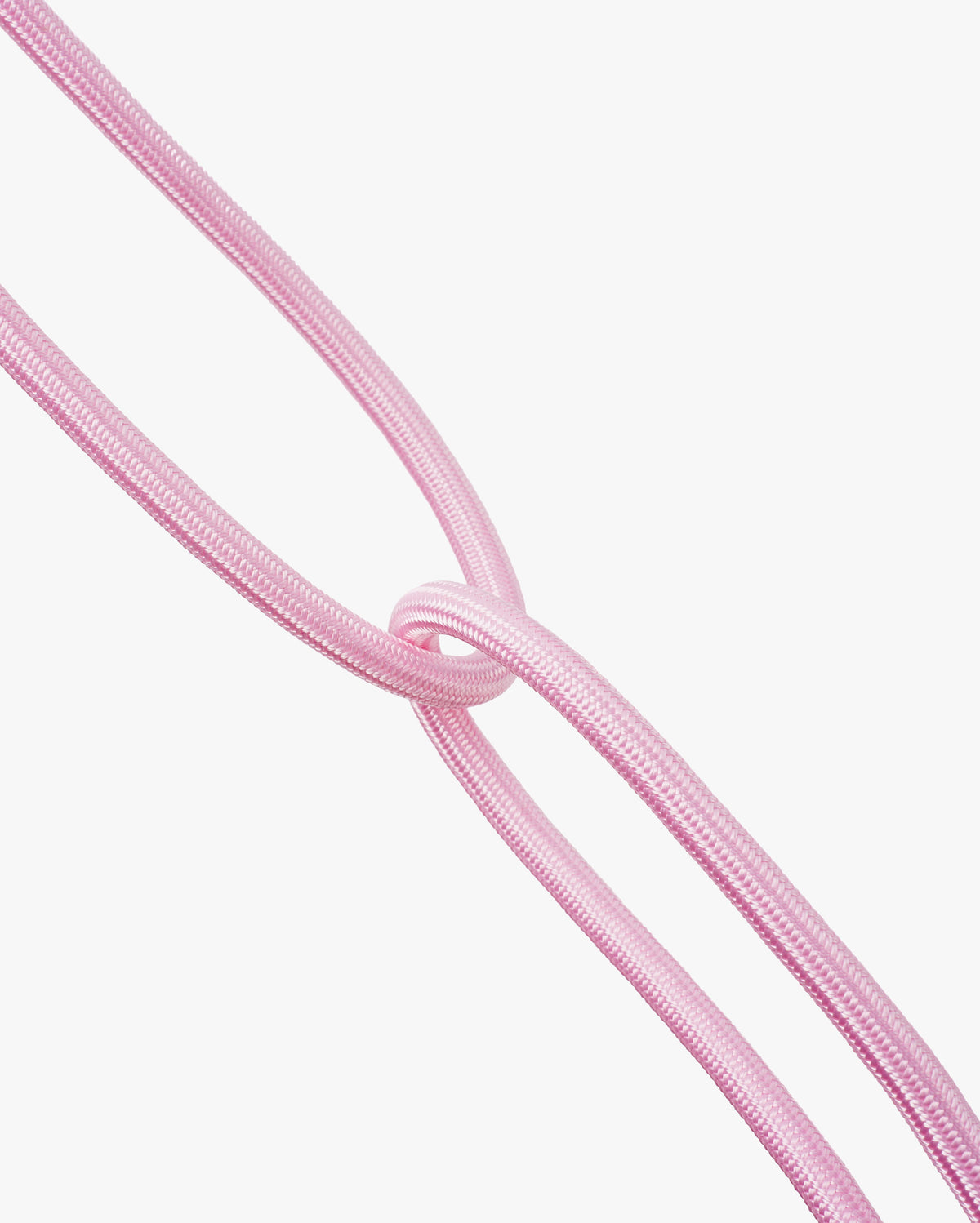 マシュマロスマートドッグリード